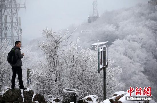 南京新年首場雪“低調”降臨