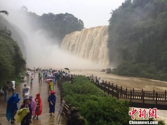 60余名臺商雨中觀黃果樹瀑布 看好貴州旅游發展前景