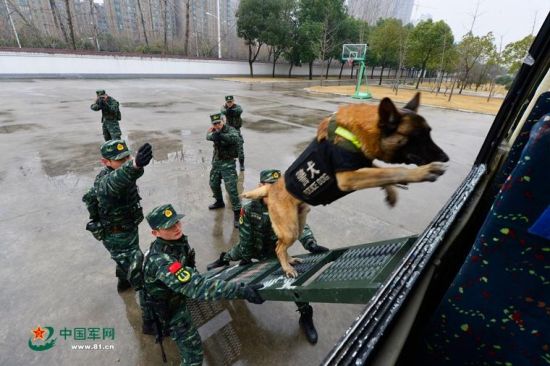 安徽武警備戰春運出動無人機 警犬搶鏡