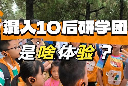 90后大齡兒童混進10后研學團，被教育了……