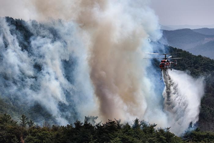 韓國發生大規模山火 多地進入“災難狀態”